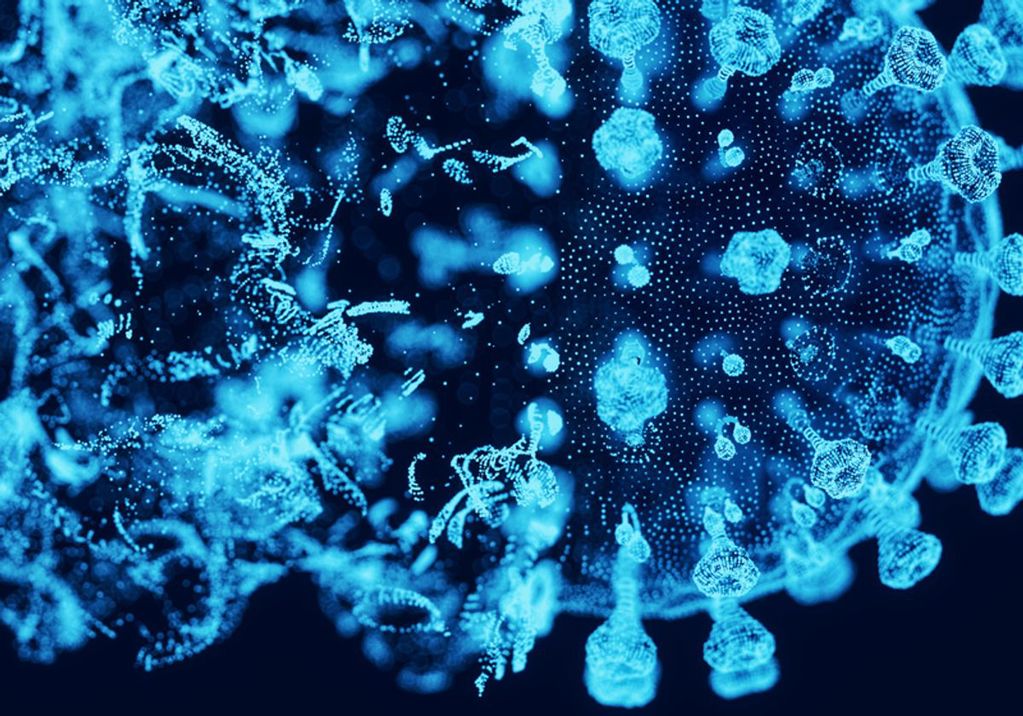 Kırgızistan'da "Hong Kong gribi" alarmı