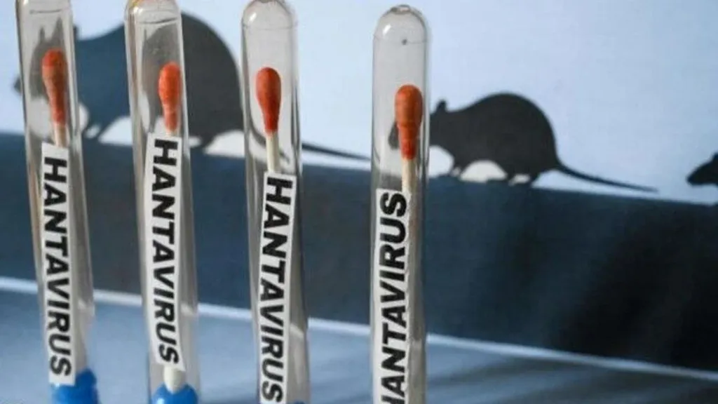Uzmandan Hantavirüs Açıklaması: “Pandemi Yapma İhtimali Sıfır